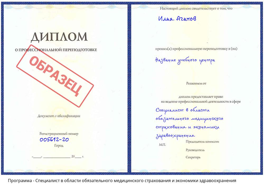 Специалист в области обязательного медицинского страхования и экономики здравоохранения Чайковский