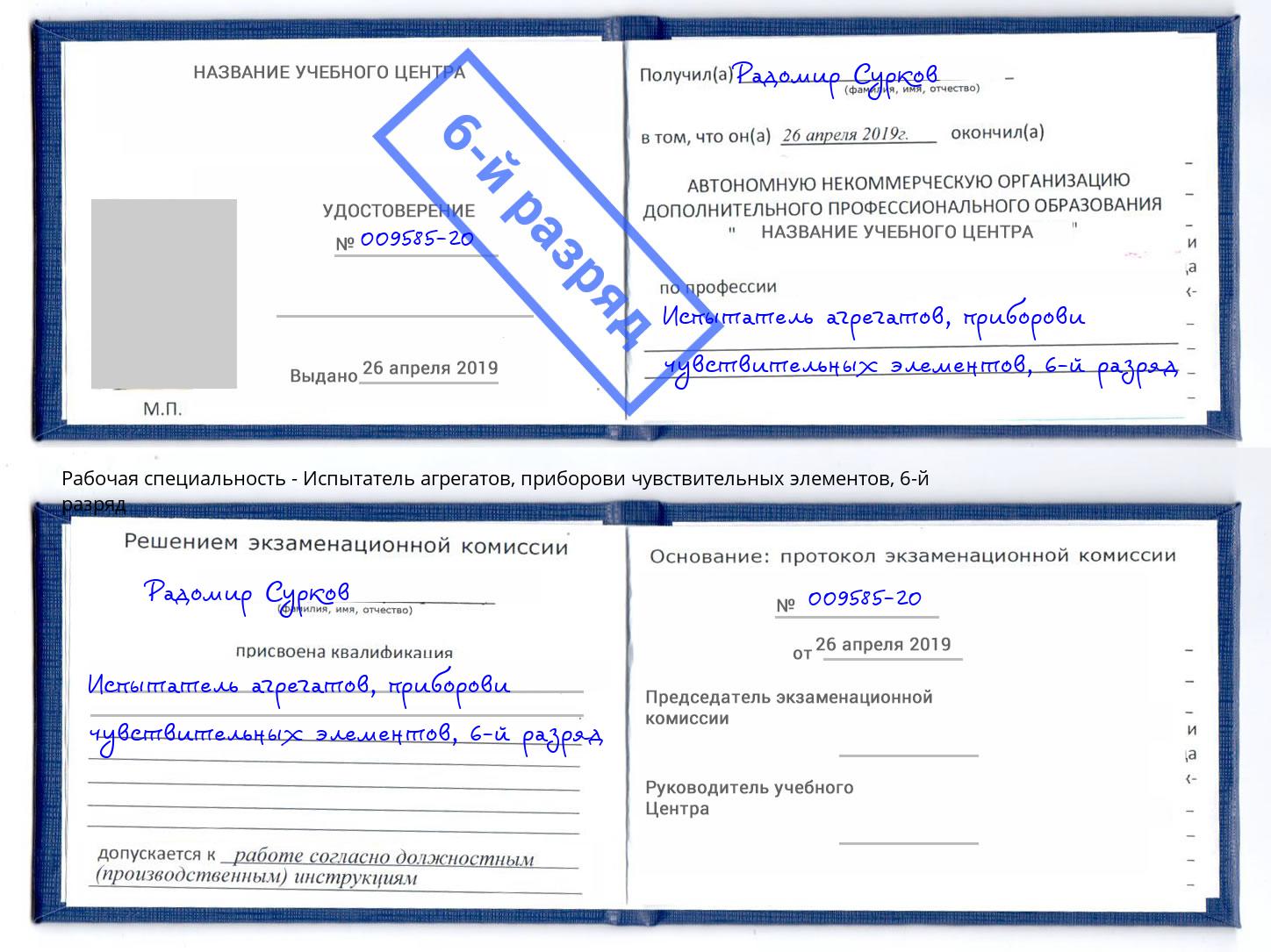 корочка 6-й разряд Испытатель агрегатов, приборови чувствительных элементов Чайковский