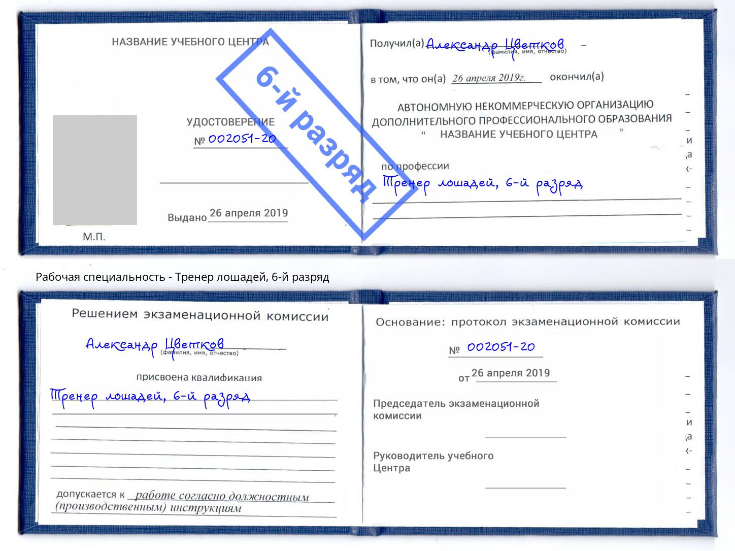 корочка 6-й разряд Тренер лошадей Чайковский