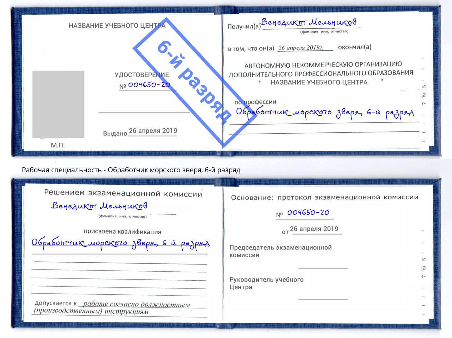корочка 6-й разряд Обработчик морского зверя Чайковский