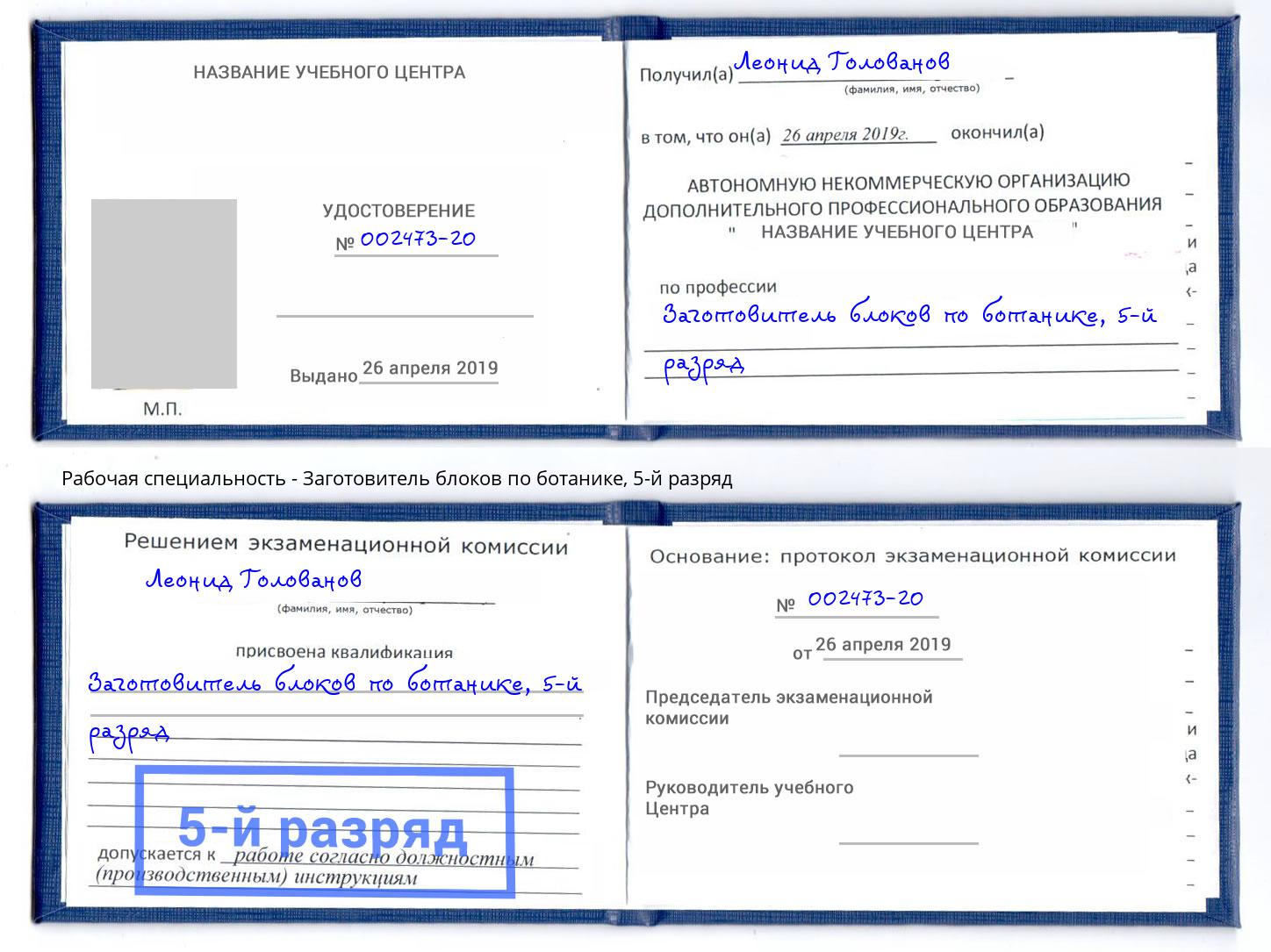 корочка 5-й разряд Заготовитель блоков по ботанике Чайковский