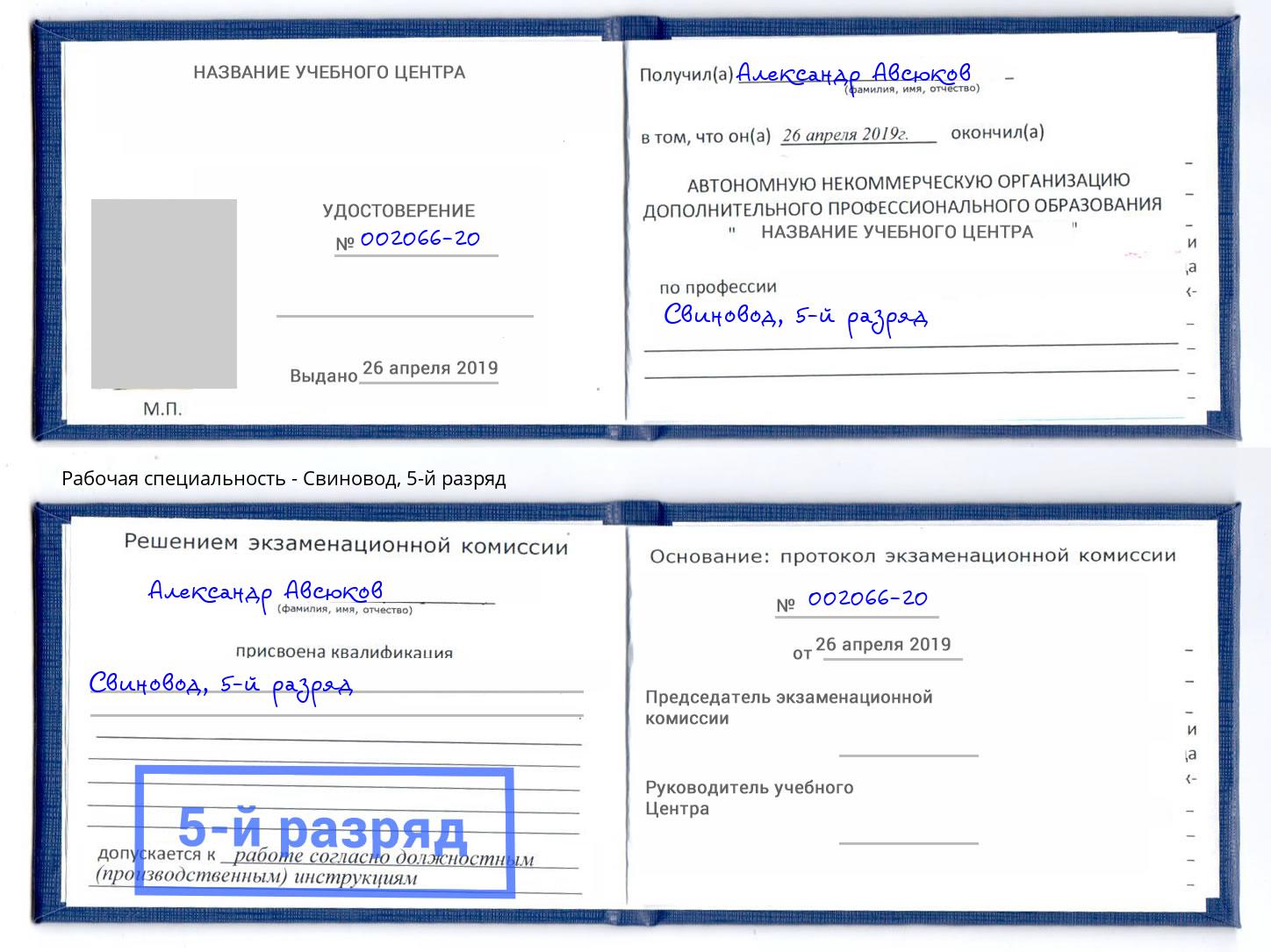 корочка 5-й разряд Свиновод Чайковский