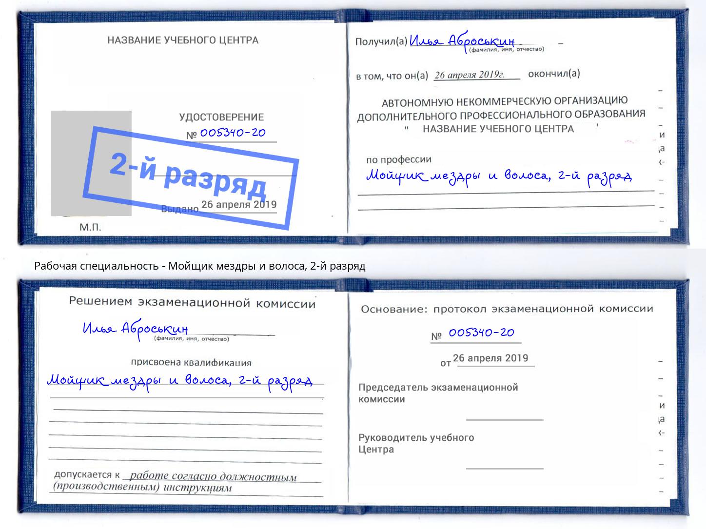 корочка 2-й разряд Мойщик мездры и волоса Чайковский